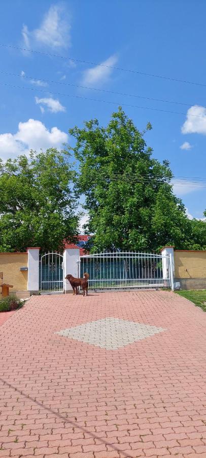 Проживання в сім'ї Gaestehaus Kathi